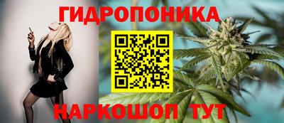 стаф Тулун