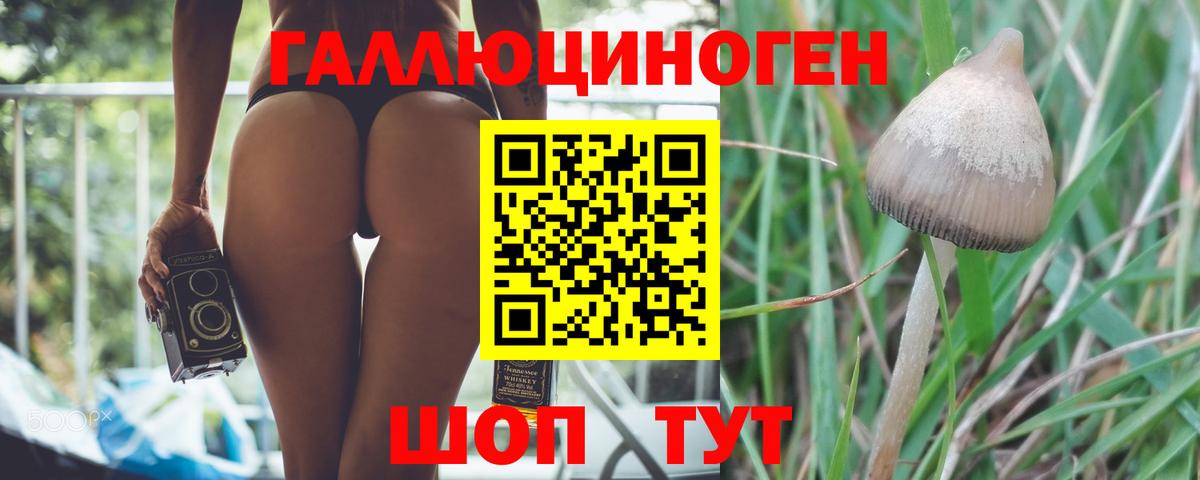 Псилоцибиновые грибы мухоморы Малгобек