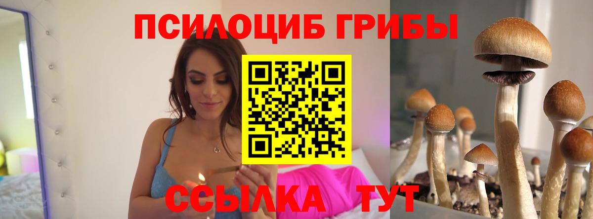 Псилоцибиновые грибы Cubensis  Вход с VPN  Малгобек 